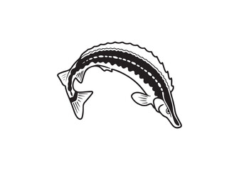 Eel fish silhouette black vector design for aquatic illustration.