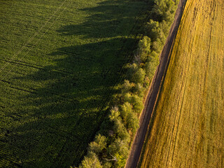 Look down on rural road going by golden and green agriculture fields, aerial farmland landscape