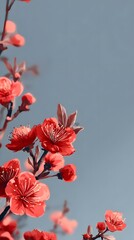 cherry blossoms scattered across sky blue background bleeding at petals edges