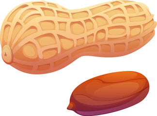 Cartoon raw ripe peanuts, whole and shelled nuts showing textured shells and brown kernel. Isolated vector nutritional crunchy snack, baking ingredient, healthy natural seed plant, peanut pod