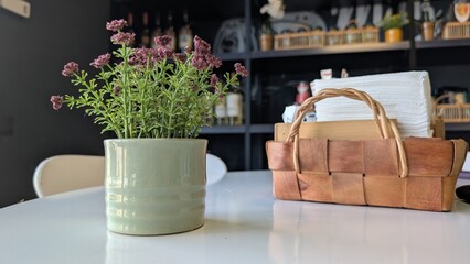 A Charming and Beautiful Indoor Plant Arrangement Gracefully Displayed on a Modern Table
