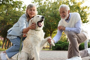 Happy senior couple with adorable Golden Retriever dog outdoors, low angle view
