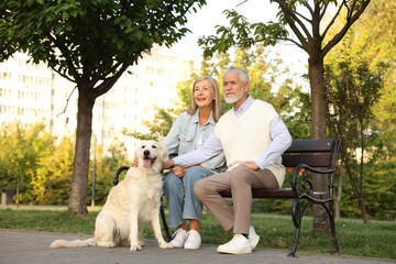 Senior couple with adorable Golden Retriever dog on bench outdoors