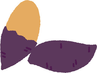 Vector illustration of two sweet potato slices