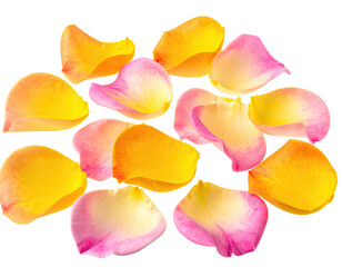 Vibrant rose petals, yellow and pink, overlapping