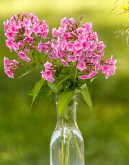 Vase with pink flowers in it