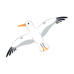 Northern Seagull Bird and Zoo Creature from Cold North Vector Illustration