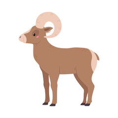 Northern Ram Animal and Zoo Creature from Cold North Vector Illustration