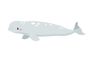 Northern Dolphin Animal and Zoo Creature from Cold North Vector Illustration