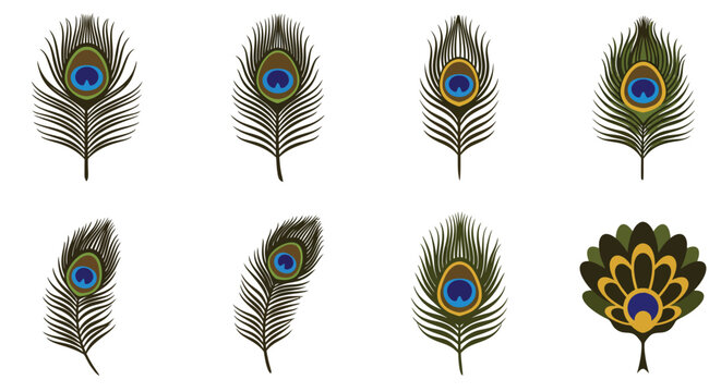 Peacock Pattern Images – Browse 244,067 Stock Photos, Vectors, and ...