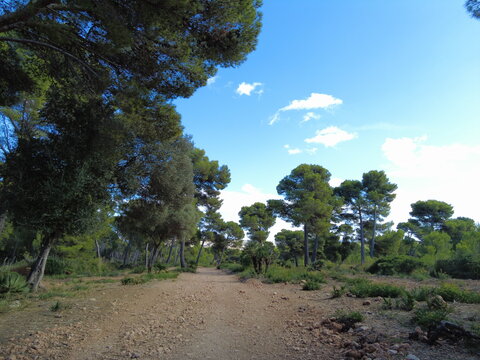 Cala Rajada - Mallorca - Spanien