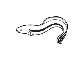 Obraz premium Silhouette of an eel fish vector illustration isolated on white background.