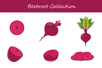 beetroot collection in different style. Vector illustration.