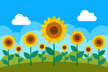 A simple cartoon of a sunflower field under a blue sky vector illustration