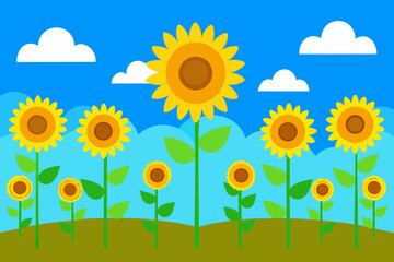 A cartoon illustration of a sunflower field under a blue sky vector illustration