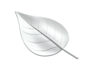 Glossy, monochrome leaf illustration with detailed veining, set against black