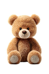 Obraz premium Classic teddy bear on white