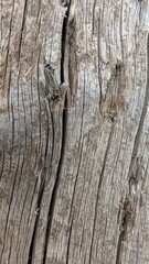 A CloseUp View of a Weathered Wooden Texture Featuring Detailed Patterns and Unique Characteristics