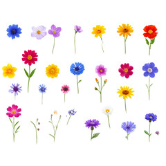Single flowers collection, set isolated on transparent white background