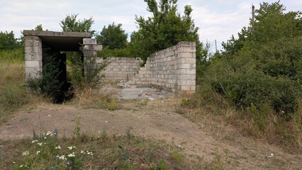 An Abandoned Structure that is Completely Surrounded by the Beauty of Nature all Around