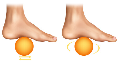 Realistic medical illustration showing foot massage exercises with a ball. The image demonstrates two techniques for plantar fasciitis relief and arch stretching
