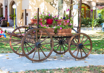Old wooden cart with pink petunia colorful flowers