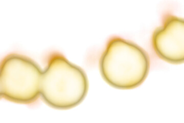 Yellow glowing light spots on transparent background. Abstract round soft blur highlights, bright luminous circles with smooth edges. Digital glow effect for overlays, decoration, and creative design.