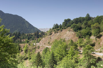 Obraz premium Road to the mountains with beautiful nature (Southern Pindus, Greece)
