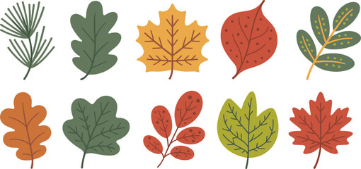 Obraz premium Collection of colorful autumn leaves vector illustration, fall season foliage design, decorative botanical elements, nature clipart, simple leaf icons set