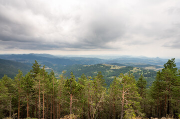 Dense pine forest in the foreground with rolling green hills and distant mountains under a cloudy sky