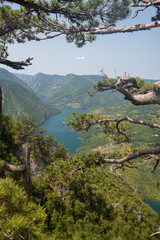 Canyon river meandering among green forested mountains, nature landscape photography under clear blue sky