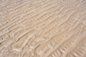 Beautiful sand with sea water in the summer day. Footprint on the sand near a sea.