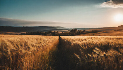 Warm golden wheat field and hills, sunset light rural countryside, harvest season atmosphere, peaceful agricultural scene. Agriculture, harvest, nature, farming