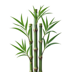 (AI) Vibrant green bamboo plant sprig on transparent background