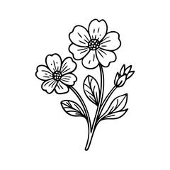 Obraz premium wildflower line art style vector illustration