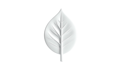 Single, stylized, white leaf with prominent veins isolated on black background