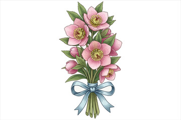 Vector art of a charming bouquet of pink hellebores, , tied with a delicate blue ribbon, evokes feelings of spring, love, and appreciation