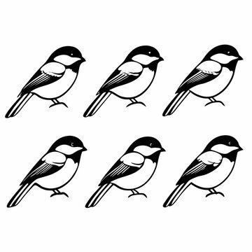 Six chickadee birds in a row vector illustration of chickadees