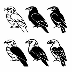 Obraz premium Collection of six eagle silhouettes, showcasing diverse avian forms