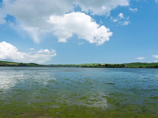 A serene, wide river under a bright, cloudy sky.