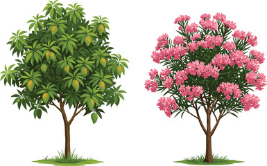 Naklejka premium Mango tree with ripe fruits and flowering pink tree illustration, natural greenery landscape, tropical plants isolated, summer garden, botany nature art