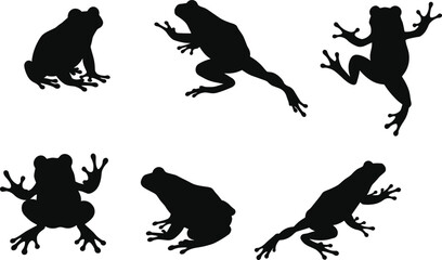 Frog silhouette set in different poses, jumping, sitting, climbing, isolated on white background, perfect amphibian animal illustration for nature, wildlife, design