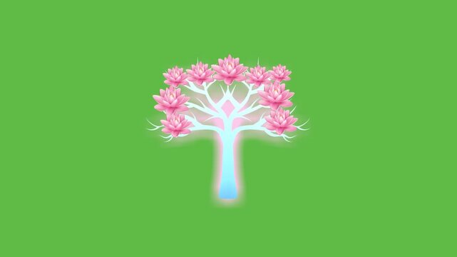 draw collection of pink flower on stylish surface on green screen background
