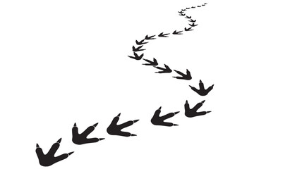 Fototapeta premium Bird footprints trail vector illustration. Black tracks leading along a winding path. Animal trail sign for nature tracking, wildlife concepts, and outdoor exploration.