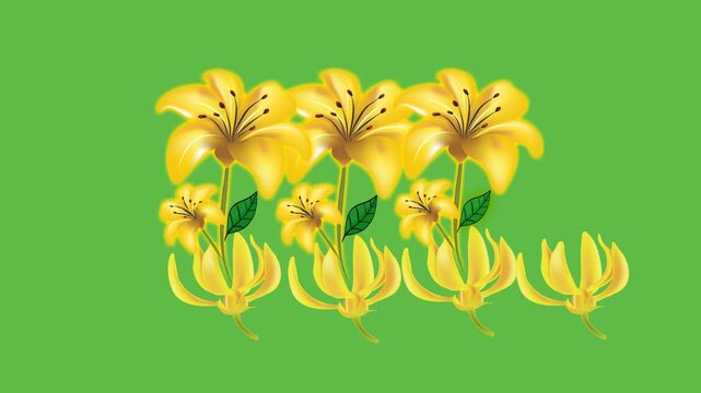 draw series of five yellow flower in straight line decorate with green leaf on land in soil and green screen background
