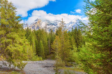 Obraz premium Bernese Alps panorama, snow mountains, Switzerland