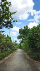Rural concrete road surrounded by lush tropical trees under a partly cloudy sky in the Mekong Delta, Vietnam.