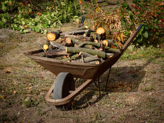 Old Rustic Wheelbarrow Full of Freshly Cut Firewood