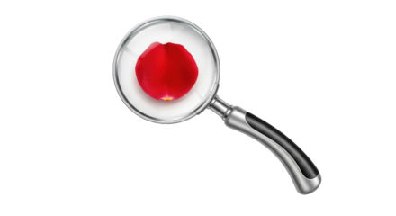 Isolated rose petal under magnifying glass, concept of love, investigation, or romance