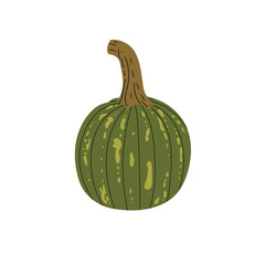 Autumn pumpkin in flat minimalistic style. Decorative fall vegetable with black outlines in simple design. Seasonal farm harvest. Vector illustration isolated on white background.